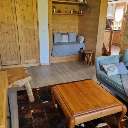 Duplex 90m2 Sur Les Pistes Du Dimanche Au Dimanche Апартаменты